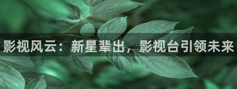 秋霞飘花电影网