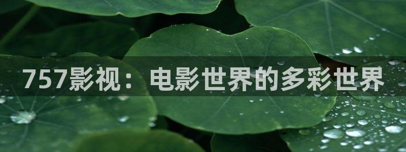 秋霞影院2020新接口
